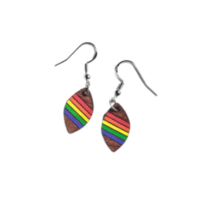 Stardust & Serendipity Rainbow Stripe Dangle Earrings