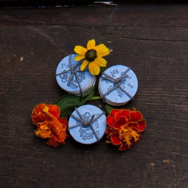 Lovewild Designs Wildflower Coins